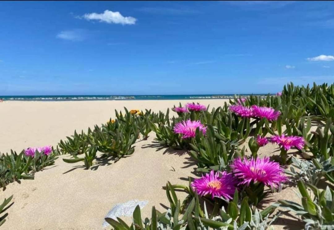 Marea Il Tuo Angolo Di Paradiso In Sicilia Ti Aspetta Prenota Ora E Vivi La Magia Del Mediterraneo Алькамо-Марина Екстер'єр фото